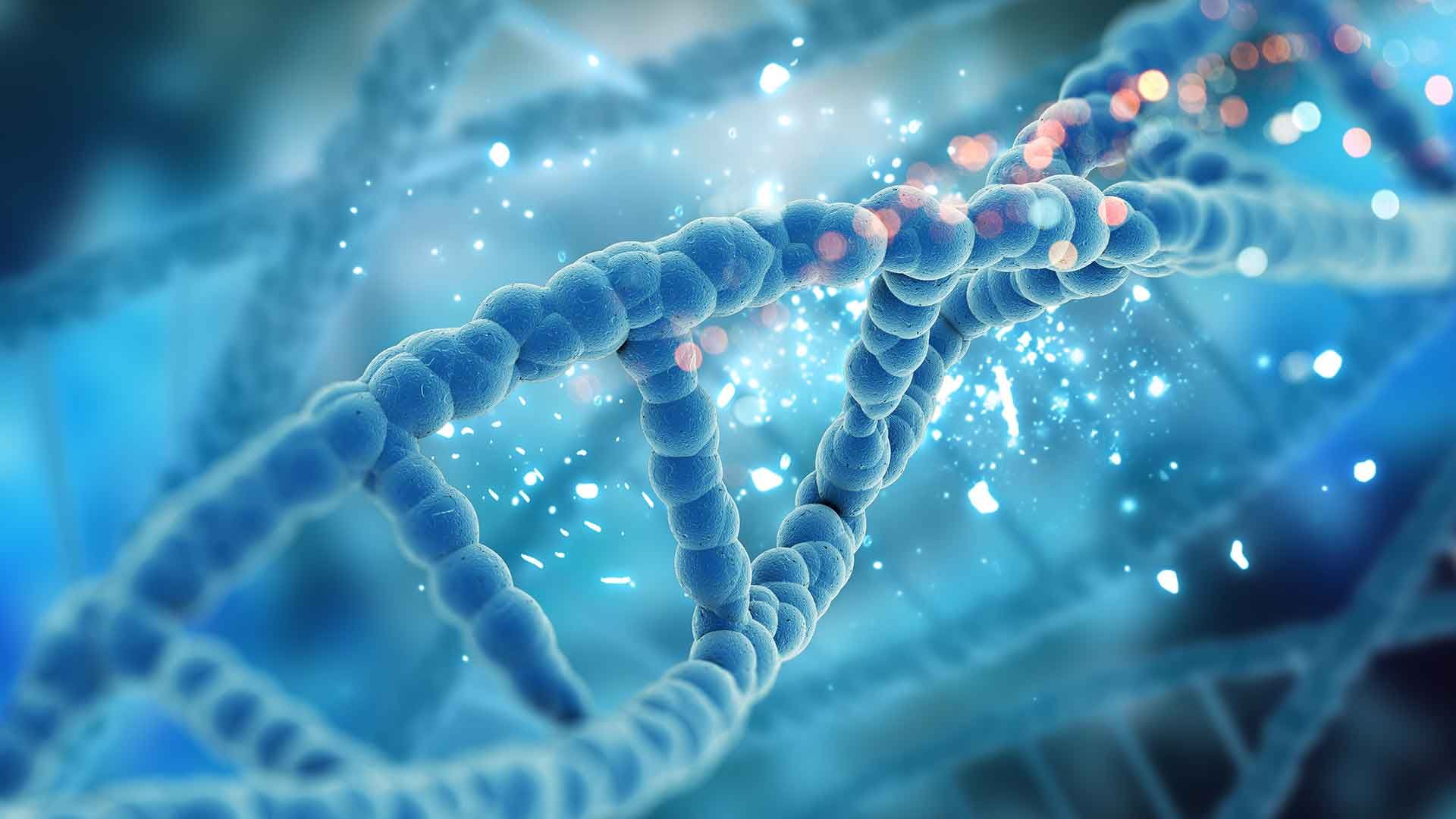 Biomarcadores de la Hipertensión Pulmonar